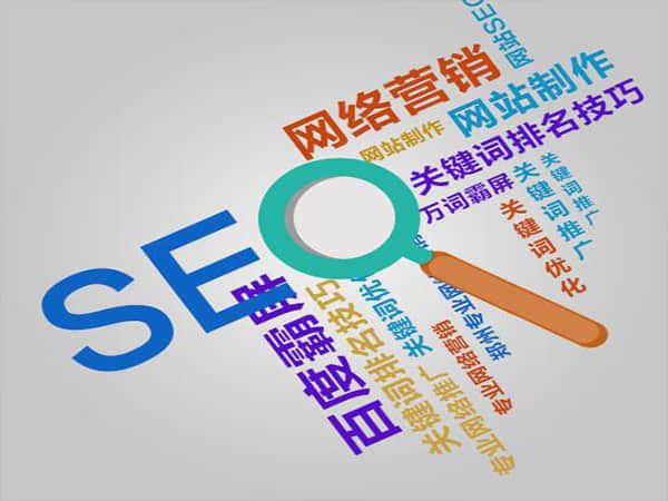 台儿庄SEO公司:网站成功的关键合作伙伴